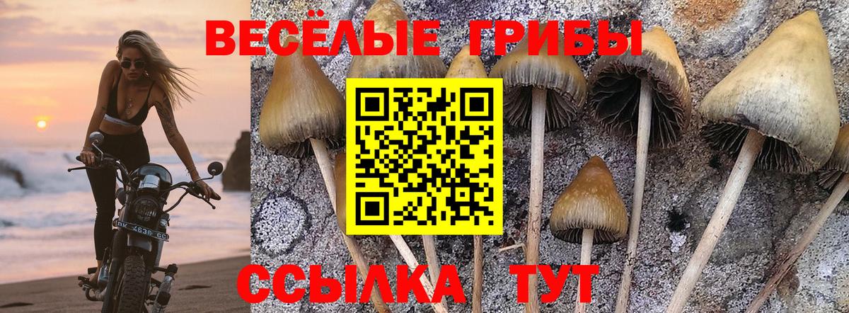 Псилоцибиновые грибы MAGIC MUSHROOMS Нижнеудинск